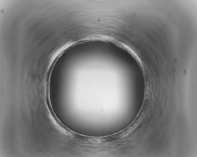 X0000087621003200705120014