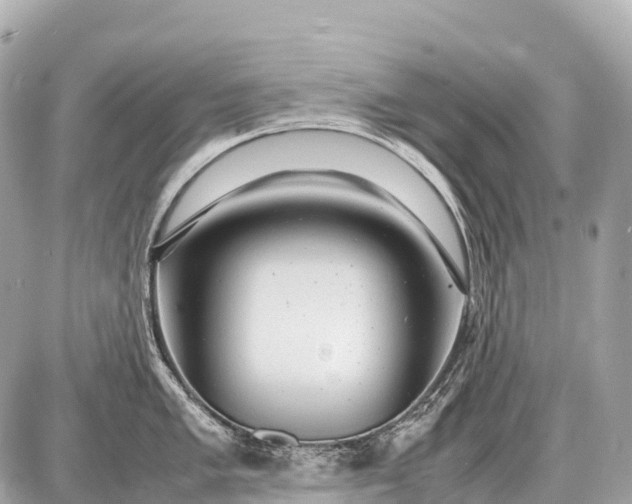 X0000087621005200705120013