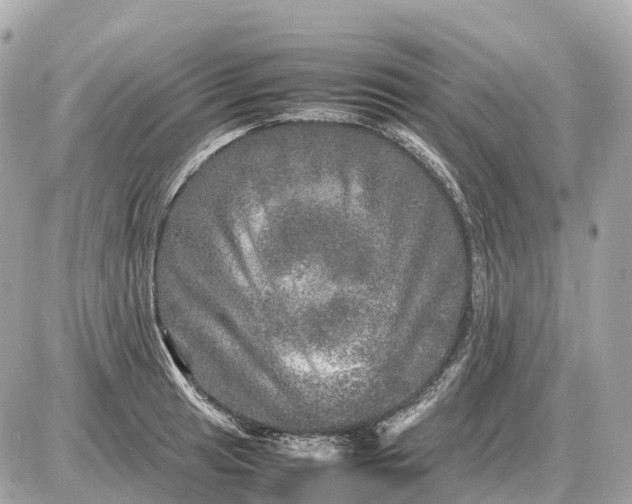 X0000087621041200705120013