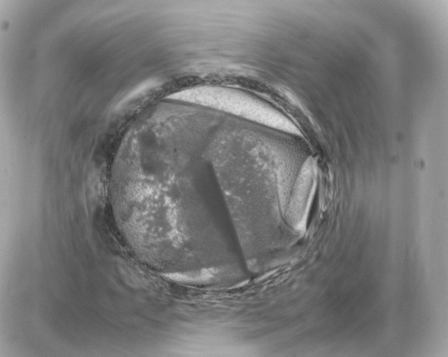 X0000087621063200705120013