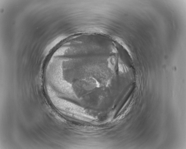 X0000087621071200705120012
