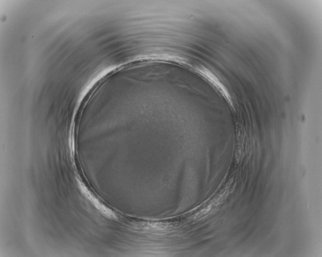 X0000087621084200705120012