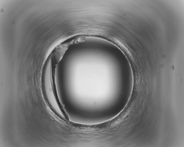 X0000087621085200705120012
