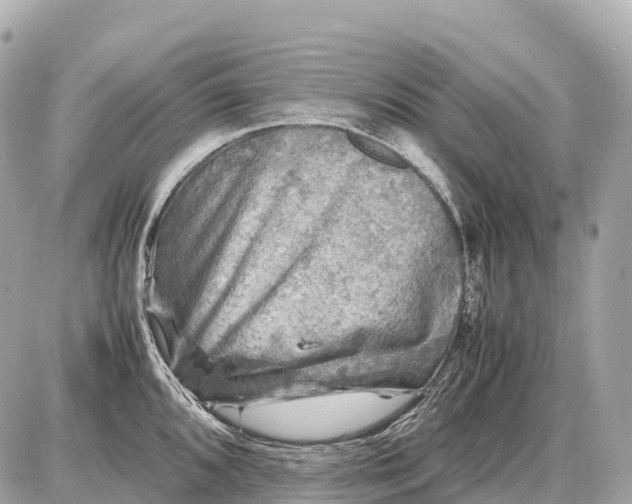 X0000087621096200705120012