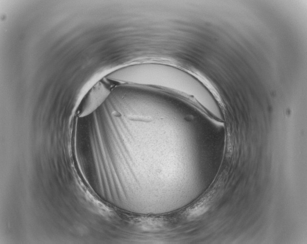 X0000087621102200705120012
