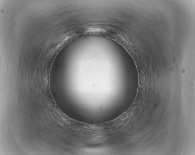 X0000087621109200705120011