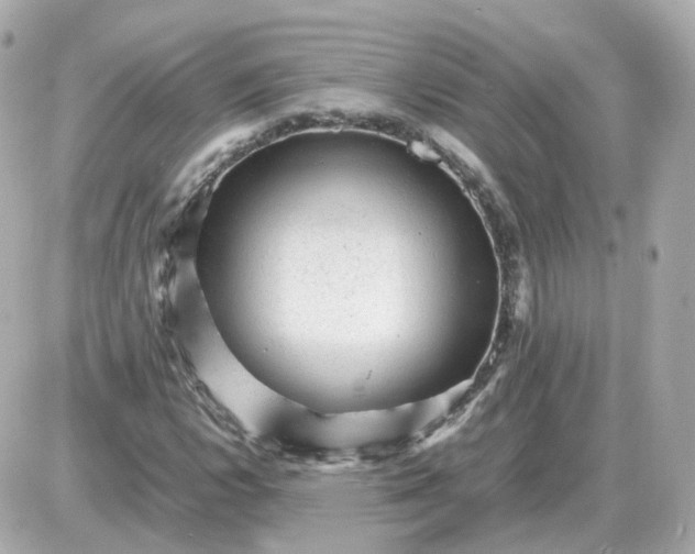 X0000087621112200705120011
