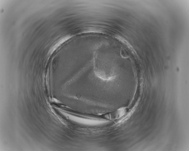 X0000087621121200705120011