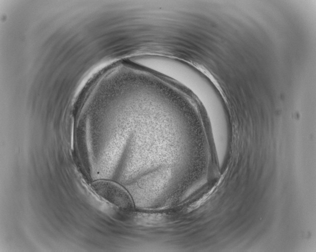 X0000087621123200705120011