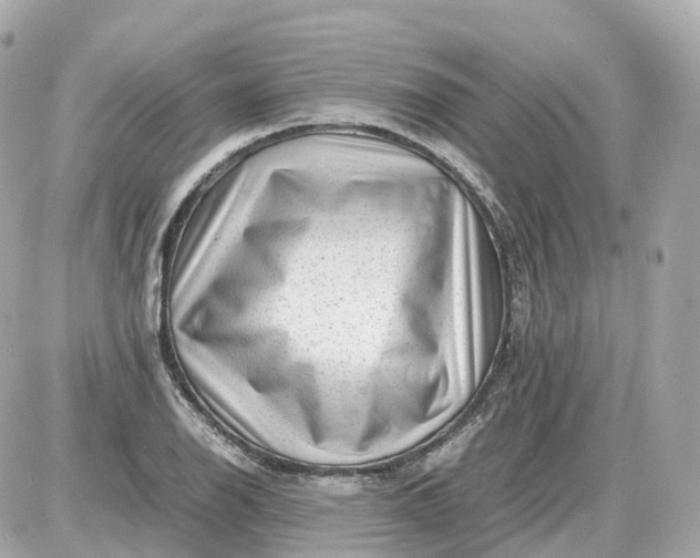 X0000087621126200705120011
