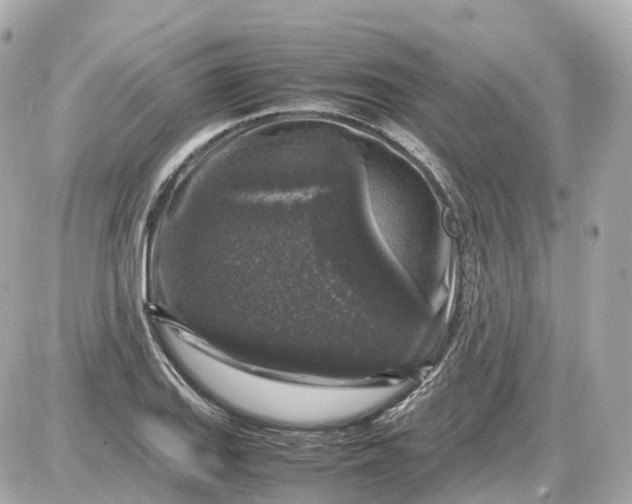 X0000087621127200705120011