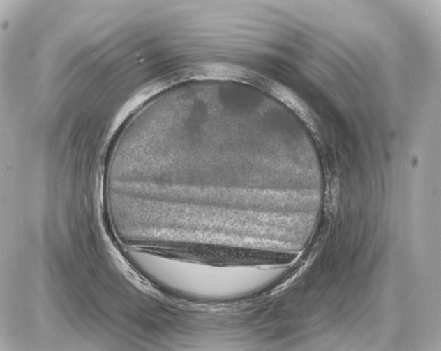 X0000087621130200705120011