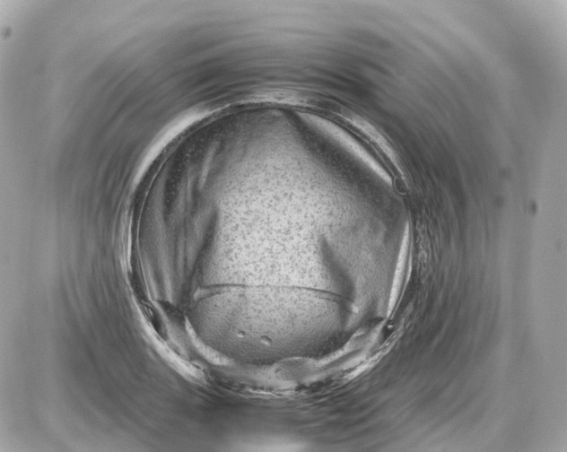 X0000087621131200705120012
