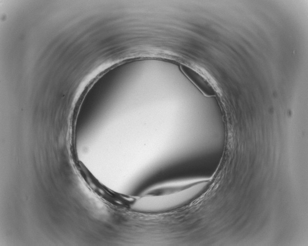X0000087621136200705120012