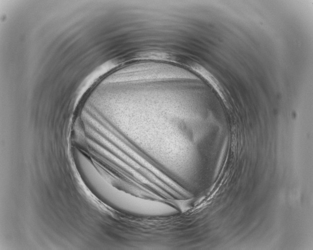 X0000087621139200705120012