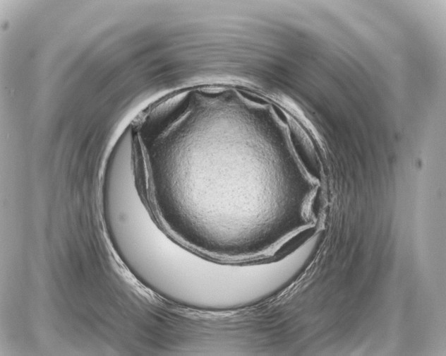 X0000087621140200705120012