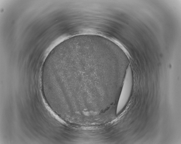 X0000087621142200705120012