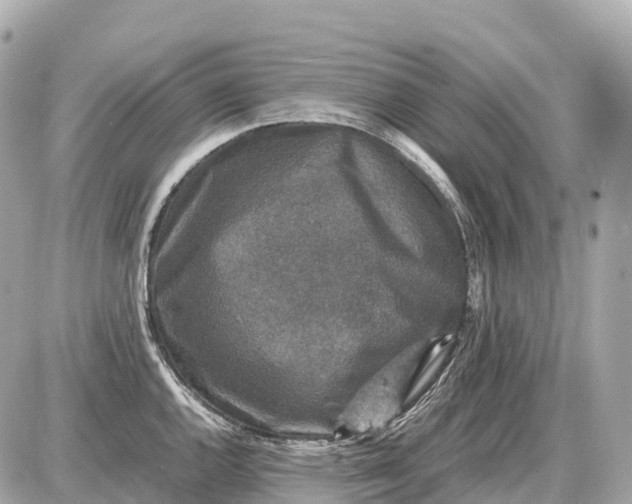 X0000087621144200705120012