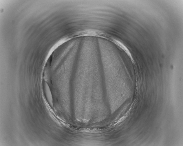 X0000087621146200705120012