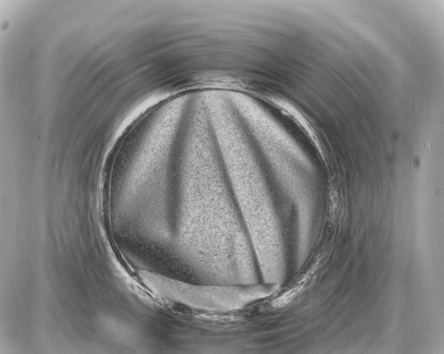 X0000087621147200705120012