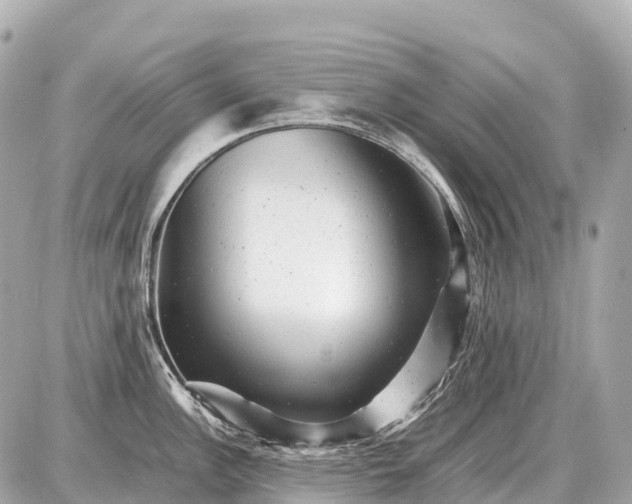 X0000087621148200705120012