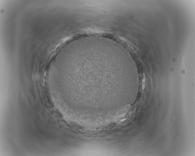 X0000087621157200705120011