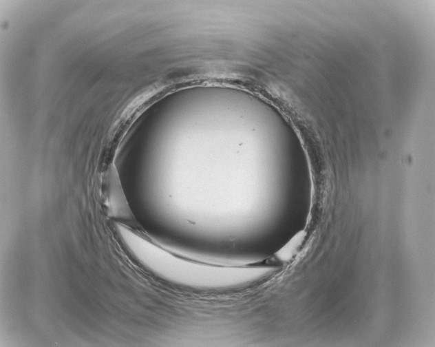 X0000087621169200705120011