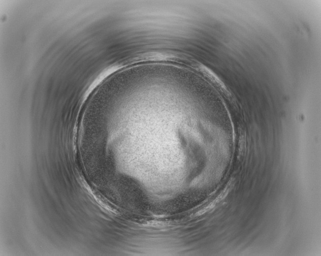 X0000087621178200705120011