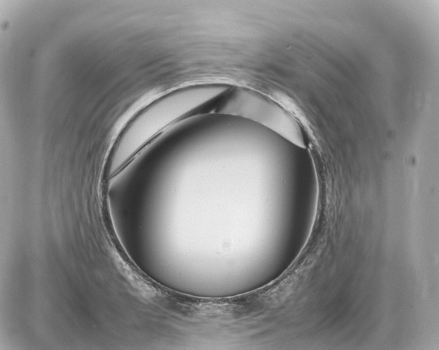 X0000087621181200705120011