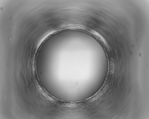 X0000087621182200705120011
