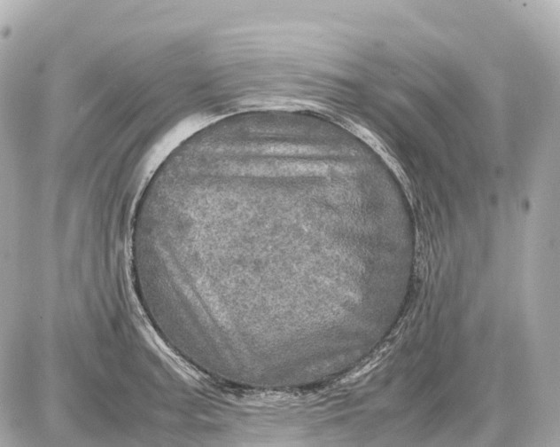 X0000087621187200705120011
