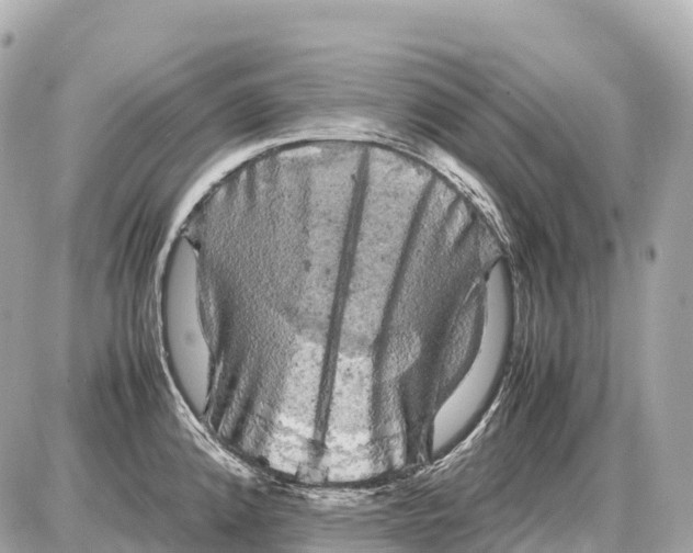 X0000087621192200705120010