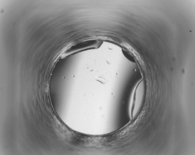 X0000087621193200705120010
