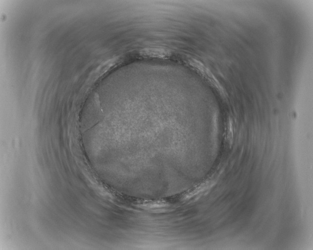 X0000087621201200705120010