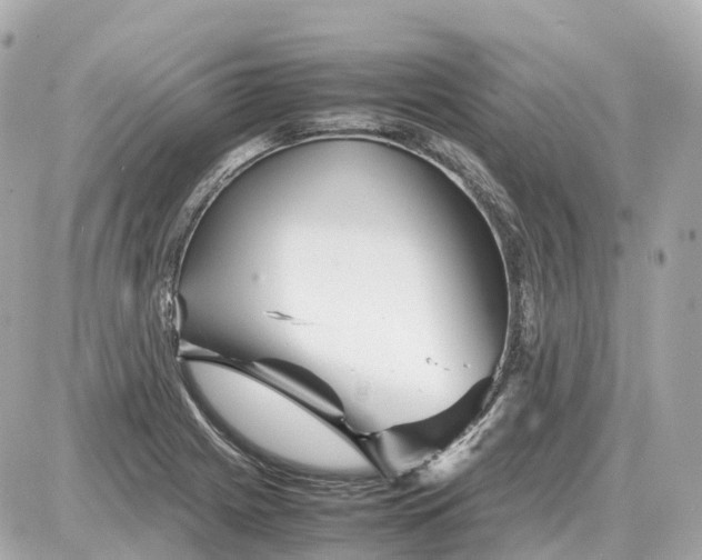 X0000087621225200705120010