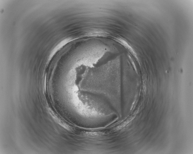 X0000087621227200705120010