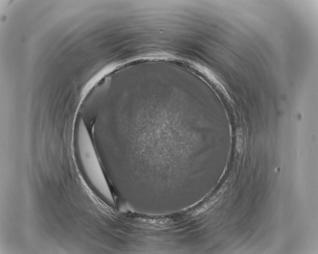 X0000087621229200705120010