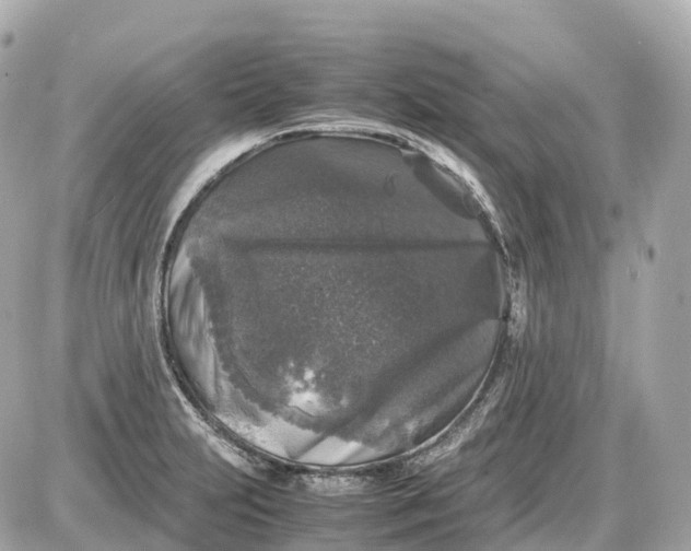 X0000087621231200705120010