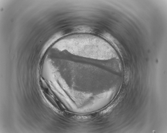 X0000087621235200705120010