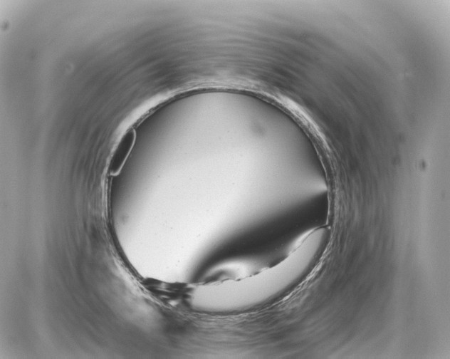 X0000087621238200705120010