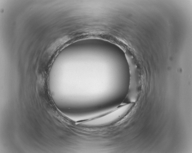 X0000087621257200705120009