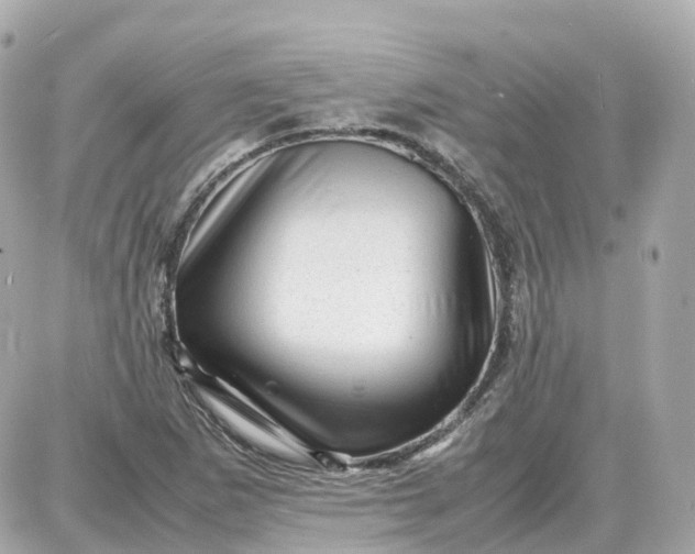 X0000087621265200705120009