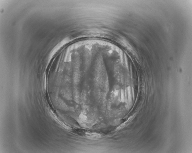 X0000087621275200705120009