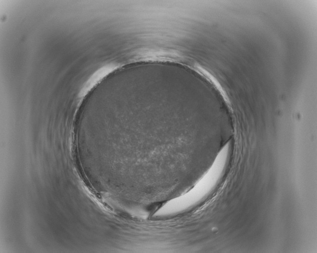 X0000087621277200705120009