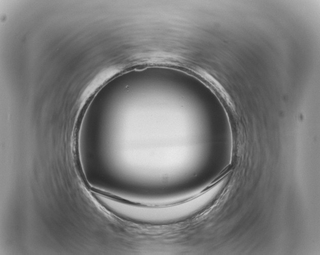 X0000087621285200705120009