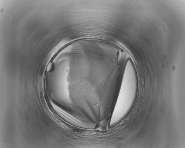 X0000087621291200705120009