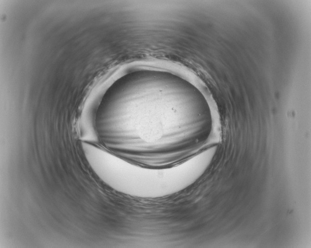 X0000087621298200705120008