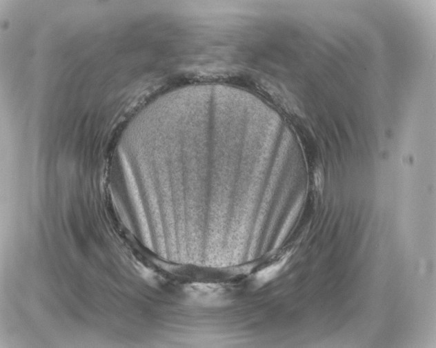 X0000087621300200705120008
