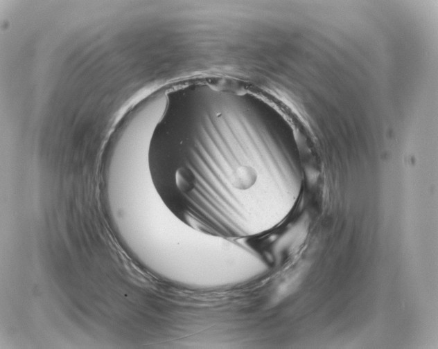 X0000087621308200705120008