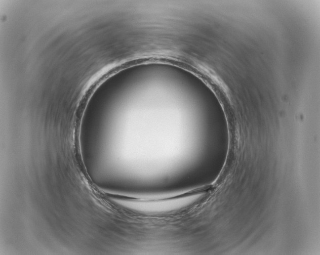 X0000087621316200705120008